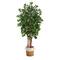 7ft. Sakaki Artificial Tree in Handmade Natural Jute and Cotton Planter